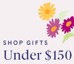 Bright floral graphic for gifts under $150.'