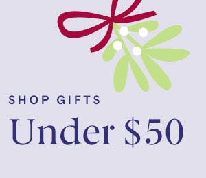 Shop gifts under $50 with festive bow and mistletoe decoration